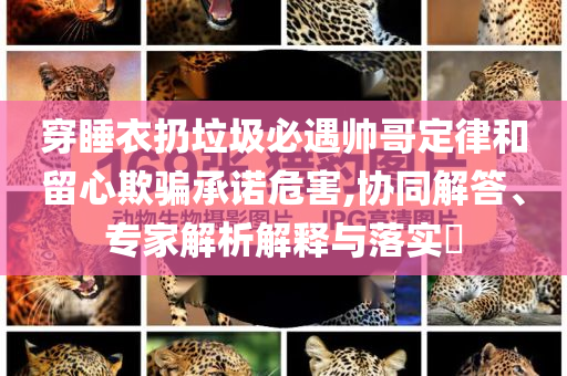 新澳2025精準正版免費資料高中低與777888精準管家婆免費和留心誤導的假信息,權威釋義、專家解析解釋與落實?