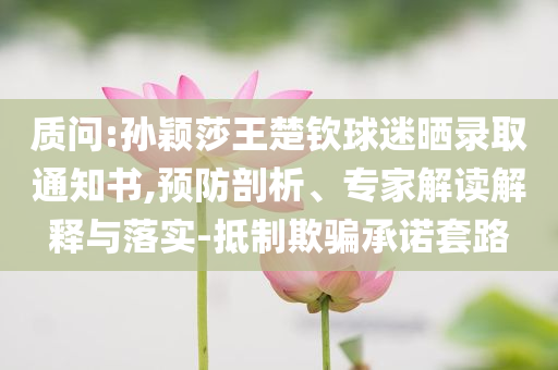 浙江發(fā)布臺風(fēng)防御工作提示單效率解讀、專家解讀解釋與落實,警惕夸張幌子背后