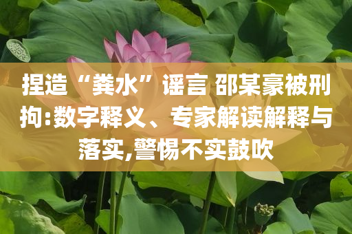 小米磁吸紙巾盒,智能釋義、專家解讀解釋與落實?-防范夸張幌子危害