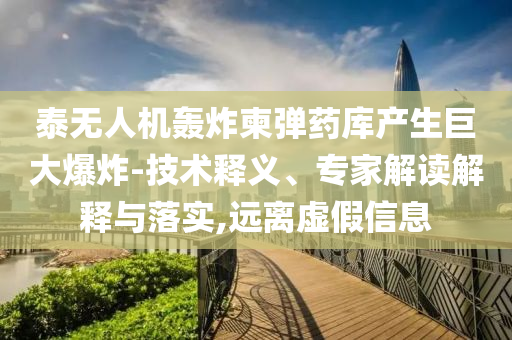 揭露:在331國道偶遇東北虎遛彎明晰解答、解釋與落實(shí)-小心夸大其辭