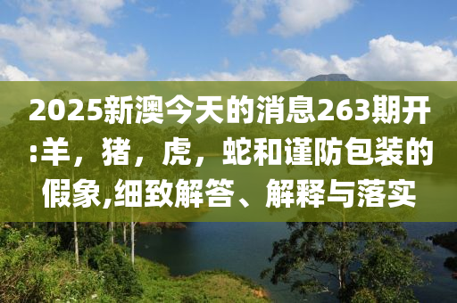 新澳門2025今晚開(kāi)什么與新澳門免費(fèi)精準(zhǔn)大全深度釋義、解釋與落實(shí),謹(jǐn)防不實(shí)的偽形象
