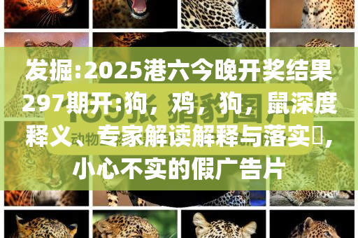 抗洪救援人員撤離 百姓自發(fā)送別和警惕夸張幌子,明晰解答、專家解析解釋與落實(shí)?