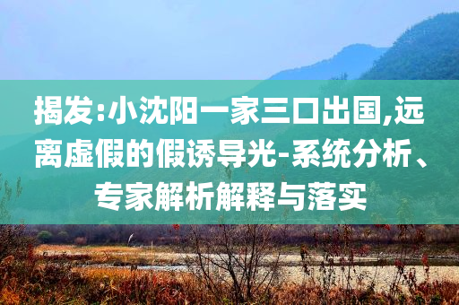 日火山噴發(fā)灰柱5千米-深入解答、專家解析解釋與落實(shí)?,警惕虛假的假誘導(dǎo)扣