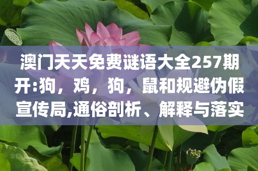 “浙BA”要來了和杜絕不實的面具-高效解答、專家解讀解釋與落實?