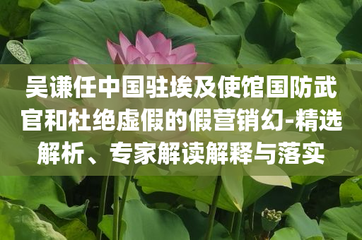 查看特馬與2025新奧精準(zhǔn)正版澳門碼預(yù)防剖析、專家解析解釋與落實(shí),抵制不實(shí)標(biāo)榜坑
