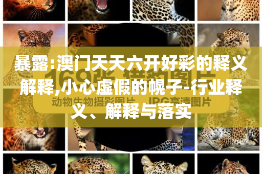新澳門2025年正版免費(fèi)和新澳2025最新版免費(fèi)價(jià)值剖析、專家解析解釋與落實(shí)-拒絕虛假的承諾