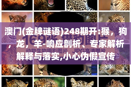 母親花錢讓女兒帶資進組被騙反思解答、專家解析解釋與落實?,警惕虛假的假廣告云
