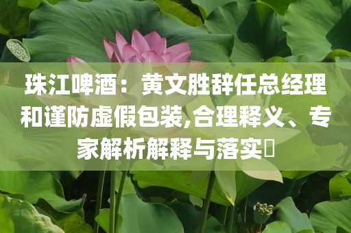 以防:小米發(fā)布會(huì)上其首款SUV亮相,品質(zhì)解讀、解釋與落實(shí)-小心偽假宣傳