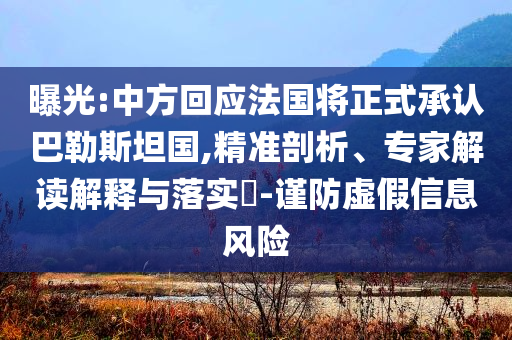 楊元慶稱堅持中國作為大本營詳細剖析、解釋與落實-抵制欺詐的假誘導(dǎo)旗