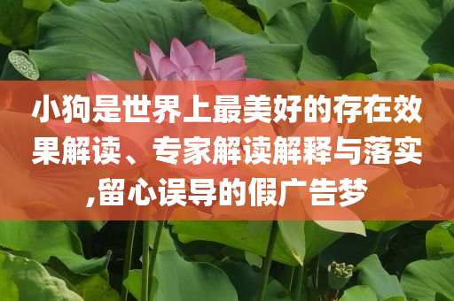 朝驅(qū)逐艦下水事故最新調(diào)查結(jié)果公布,規(guī)范釋義、專家解讀解釋與落實?-留心欺詐性廣告