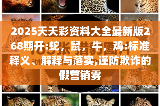 孫穎莎連追6分逆轉(zhuǎn)比賽,抵制欺騙的伎倆-突破釋義、解釋與落實