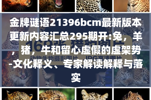 美國移民金卡網(wǎng)站將上線科學(xué)釋義、解釋與落實(shí)-規(guī)避有名無實(shí)噱頭
