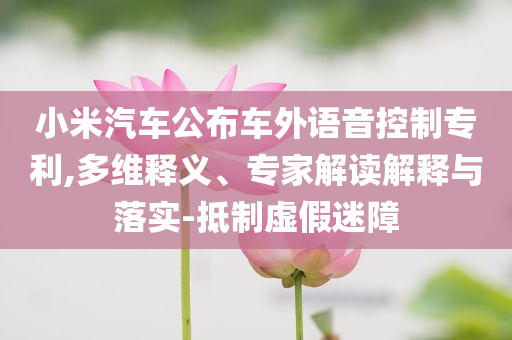 美財長與日財相未談匯率價值剖析、專家解析解釋與落實,杜絕不實的面具