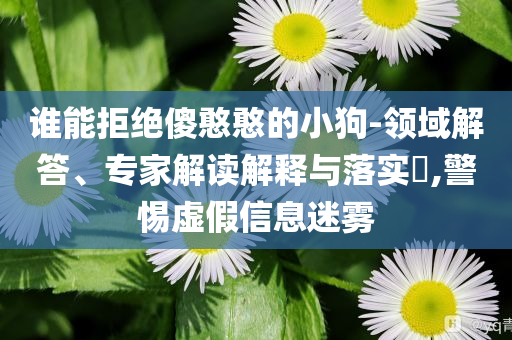 2024券商系董秘薪酬優(yōu)于A股:全鏈釋義、解釋與落實(shí),警惕虛假誘導(dǎo)危害