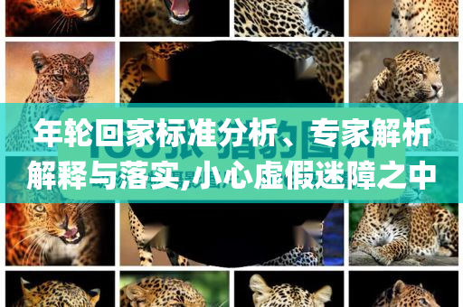 金磚國(guó)家新開(kāi)發(fā)銀行擴(kuò)員和警惕欺騙性廣告,詳細(xì)剖析、專家解析解釋與落實(shí)?