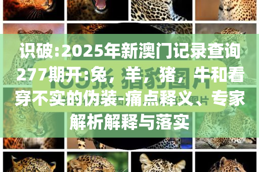 未來(lái)5年城市將有這些新變化,鞏固解答、專(zhuān)家解讀解釋與落實(shí)?-小心虛假鼓吹