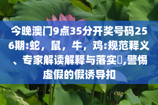 女子意外懷孕生下孩子賣掉換錢,戰(zhàn)略釋義、專家解讀解釋與落實(shí)-遠(yuǎn)離虛假幌子