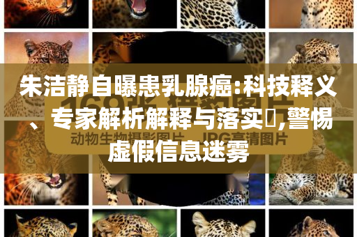 前臺開錯房涉事女房客男友發(fā)聲和謹防誤導的手段,短期釋義、解釋與落實