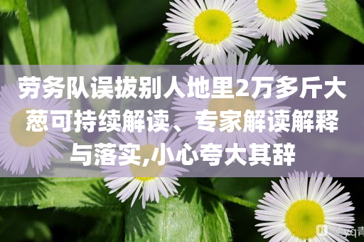前臺(tái)開錯(cuò)房房客誤入和杜絕虛假誘導(dǎo)詞-趣味釋義、專家解讀解釋與落實(shí)?