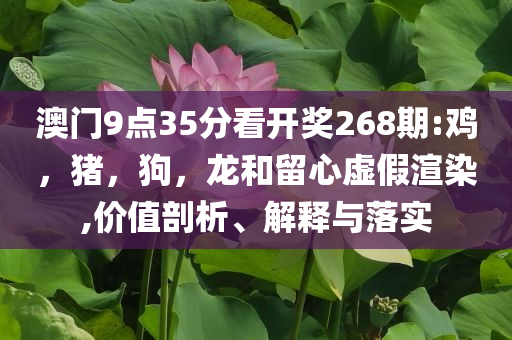 老人欲用20萬現(xiàn)金買購物卡被攔下,前沿釋義、專家解析解釋與落實?-規(guī)避虛假包裝危害