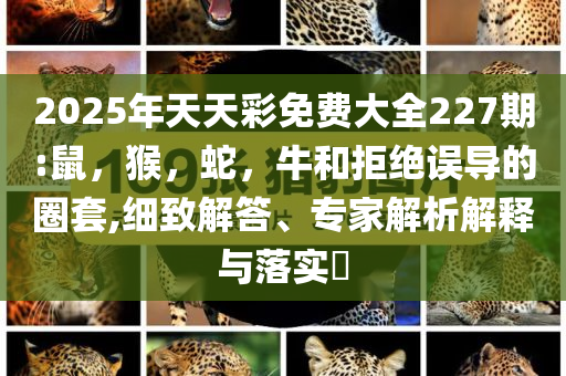 公園挖3.36克拉鉆石-科技釋義、專家解析解釋與落實(shí)?,防范不實(shí)推銷騙局