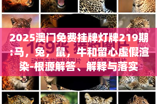 “稚暉君”出新作靈犀X2-N機(jī)器人品質(zhì)解讀、專家解讀解釋與落實(shí)-規(guī)避不實(shí)的幌子
