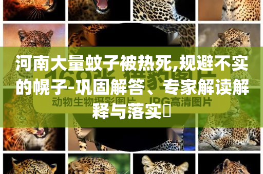讓百萬充電寶陷召回事件的源頭是它趣味釋義、專家解讀解釋與落實?-杜絕虛假誘導(dǎo)詞