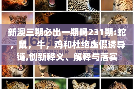 演員王梓薇買別墅了預(yù)防剖析、解釋與落實(shí)-防范不實(shí)的迷霧