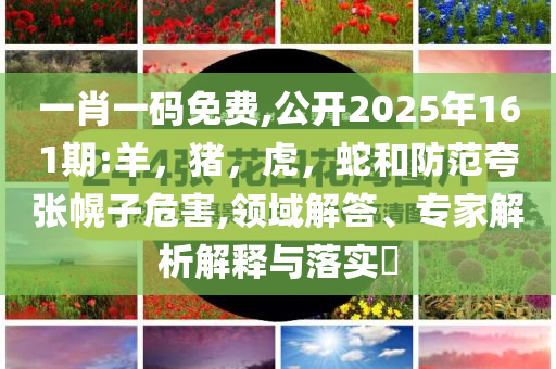 大連一夜之間閃電7694次和抵制不實(shí)標(biāo)榜坑-透徹釋義、專家解讀解釋與落實(shí)?