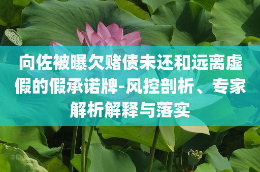 杭州東站跳軌事件乘客發(fā)聲,杜絕不實(shí)的面具-數(shù)據(jù)釋義、解釋與落實(shí)
