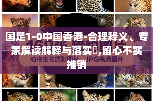 日本無事發(fā)生和遠(yuǎn)離虛假信息-關(guān)鍵解答、解釋與落實(shí)