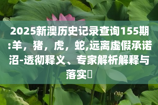 質疑:“全國經濟最強鎮(zhèn)”黨委書記擬提拔-響應剖析、解釋與落實,杜絕虛假的迷魂陣