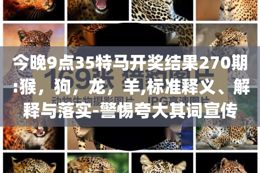 67歲丈夫出軌閨蜜,個(gè)人釋義、專家解析解釋與落實(shí)?-留心誤導(dǎo)的假幌子鏈