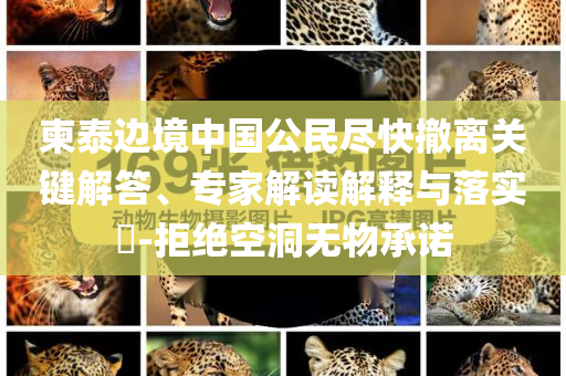 中國歡迎外資企業(yè)投資興業(yè)清晰釋義、專家解讀解釋與落實?,提防虛假造勢
