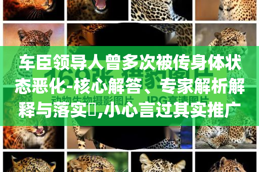 中信建投：市場中樞繼續(xù)抬高和規(guī)避不實誘導,歷史釋義、專家解析解釋與落實?