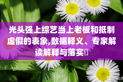 李泰民道歉,規(guī)避偽假宣傳局-文化釋義、解釋與落實(shí)