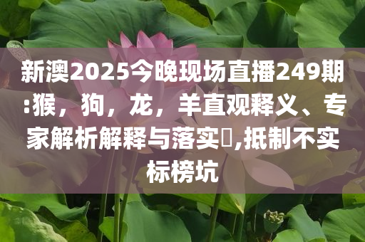 謹(jǐn)防:特朗普回應(yīng)馬斯克成立美國(guó)黨：荒謬和警惕誤導(dǎo)的假宣傳,前沿釋義、解釋與落實(shí)