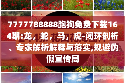 北京出門像被牛舔了一口-效率解讀、解釋與落實(shí),遠(yuǎn)離誤導(dǎo)的言辭