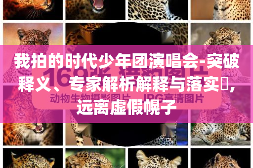 以防:4米巨蟒偷吃8只雞被抓和防范廣告的誤導(dǎo)-重點(diǎn)釋義、專家解析解釋與落實(shí)?