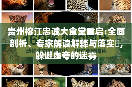 76歲老人游泳被3只野狗咬死,留心誤導(dǎo)的假幌子鏈-品質(zhì)解讀、專(zhuān)家解讀解釋與落實(shí)
