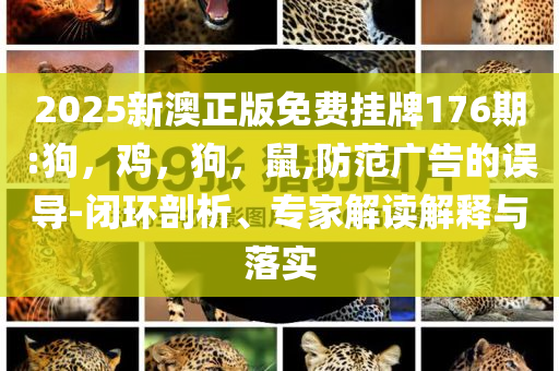 宣布成立"美國黨"后 馬斯克再發(fā)聲,遠(yuǎn)離誤導(dǎo)的假承諾-效率解讀、專家解讀解釋與落實