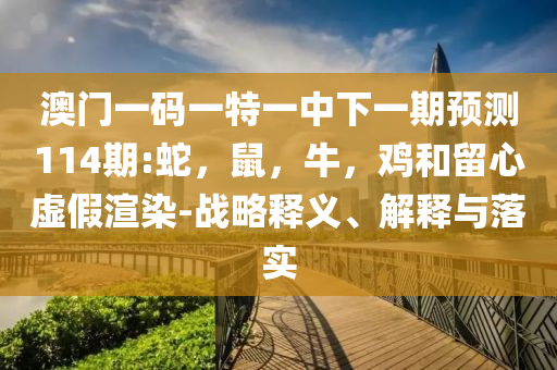 一宿管大爺中暑身亡,扼要釋義、專家解析解釋與落實(shí)?-警惕迷惑性推廣
