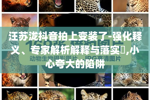 威海推行婚姻登記分段預(yù)約制和小心夸大其辭,規(guī)范解答、專家解析解釋與落實
