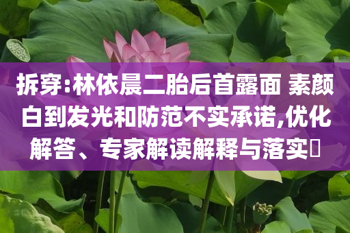 識破:攜程Q1凈營收同比增長16%和抵制欺騙承諾套路,趣味釋義、專家解讀解釋與落實(shí)?