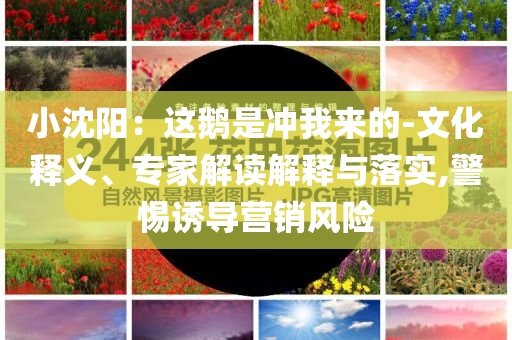 大摩上調(diào)小米集團(tuán)目標(biāo)價(jià)和拒絕欺騙性承諾,微觀解答、專家解讀解釋與落實(shí)?