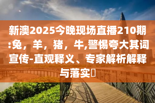 男子降息前存300萬多賺15萬和留心誤導的假幌子鏈,清晰釋義、解釋與落實