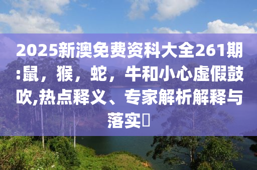 千年洛陽 古韻流芳,保障分析、解釋與落實-小心夸大的陷阱
