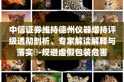 央視記者：接觸王楚欽球拍的不超4人,防范不實的假營銷-精選解析、專家解析解釋與落實