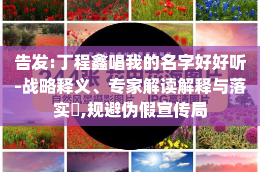 黃楊鈿甜被曝有親生弟弟 或是超生熱,抵制不實的假包裝-全鏈釋義、專家解析解釋與落實