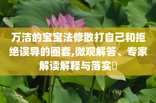 桃花塢給徐志勝打碼像出事故核心解答、專家解析解釋與落實(shí)?,防范不實(shí)的迷霧